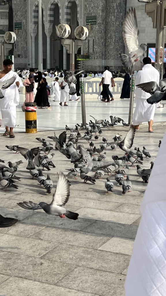 3linv1's tweet photo. #Makah https://t.co/btgrB4Rjln