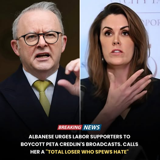 RaymondKeown3's tweet photo. Albanese is no match for Credlin! https://t.co/XVOXtyy0Gh