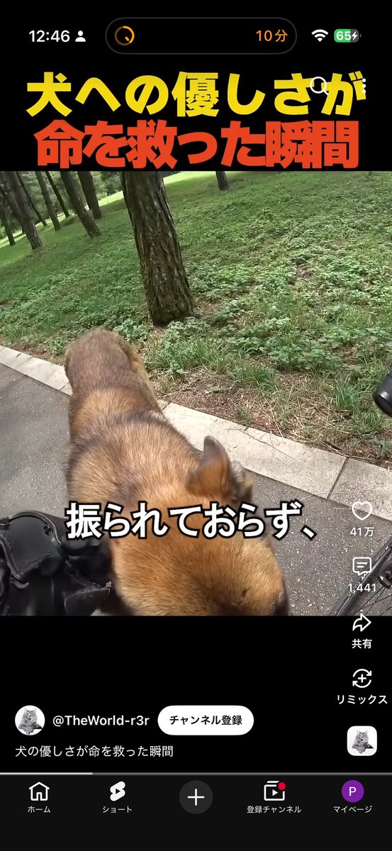 Passer21552238's tweet photo. 撮った写真確認してるとたまに謎のスクショあるんよね

君どこの犬やねん https://t.co/IuXbCGpwZi