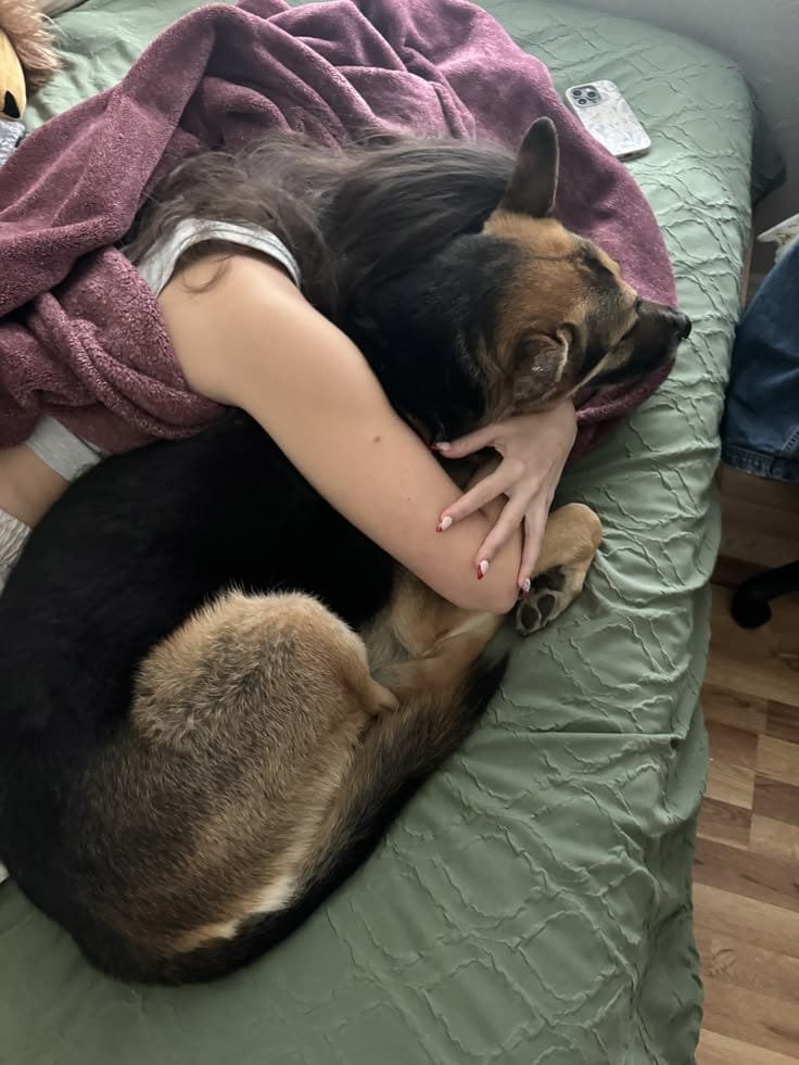HelenJohnSx5w's tweet photo. Sloppy and slimy🐕‍🦺🍆🍑💦
#zoophillia #zoosarevalid #knottylife #beastilality #dogknot #zooprideisvalid #zoophiletwt
#zootwt #zoopositivity
#jjk242spoilers #frenchbulldog #knot #knotslut #zoophilia #knotty #beast #knottedup 
Tap on the link below
👇
https://t.co/Fn6LfcJh14 https://t.co/yCYbXgEMg7
