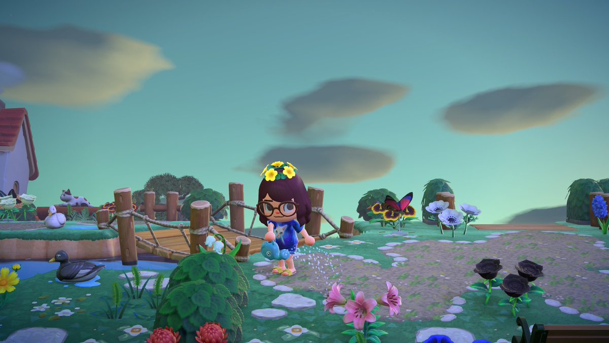 SeleSeeBetter's tweet photo. Animal Crossing, 5 a.m… Therapy🫶🏻❤️‍🩹 https://t.co/1JMg8PSoGl