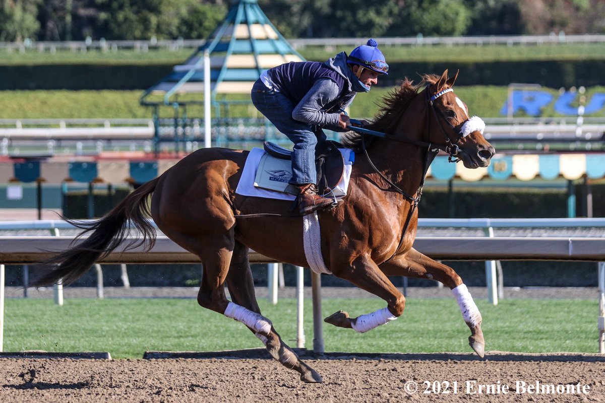 Ernie_Belmonte's tweet photo. Got to photograph and cover jockey Robby Albarado winning the 2021 G1 Beholder Mile with champion Swiss Skydiver and a couple of other occasions when he rode at Breeders’ Cup with both Not This Time and Free Drop Billy at Santa Anita and Del Mar. Gone too soon. #RIPRobby https://t.co/pXocMl6apf