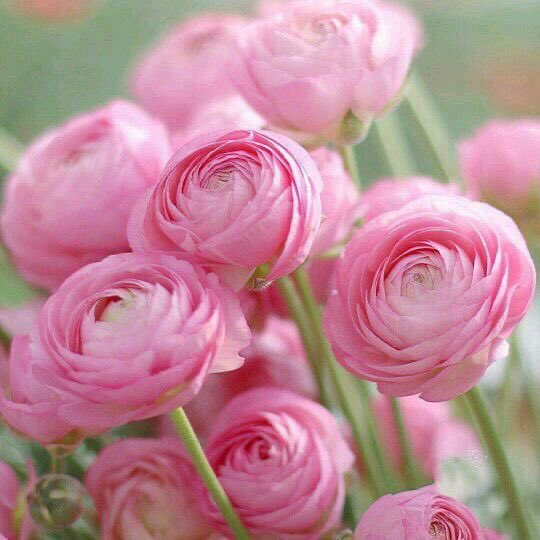 PetaliDiPoesia2's tweet photo. 𓂃🌸𓈒𓏸🫧 

Don't ask life to be kind.
Take it, live it, make it yours.
Because it belongs only to
those who live it

𝒢𝑜𝑜𝒹 ℳ𝑜𝓇𝓃𝒾𝓃𝑔             𓂃🌸𓈒𓏸 https://t.co/yKr4EW3pwO