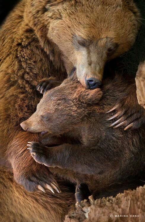 wildbeasteX's tweet photo. Love 🥰 https://t.co/n13m3PyHHE