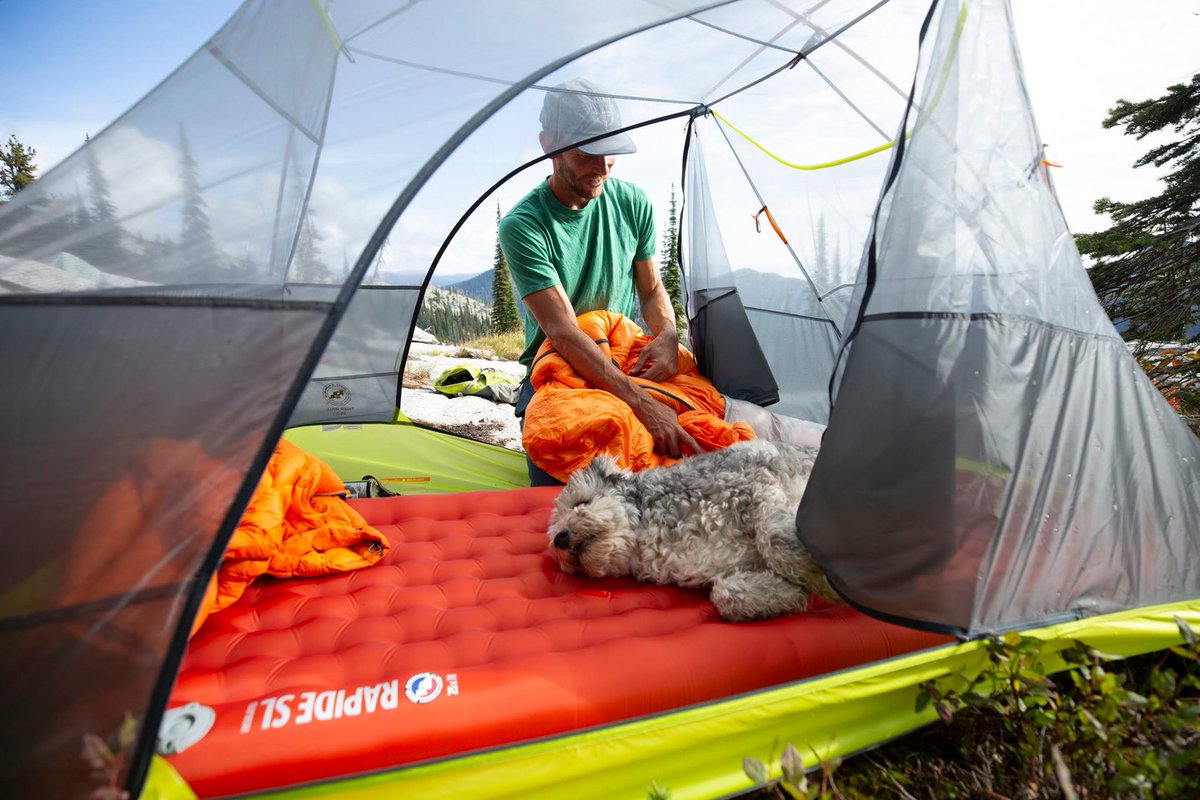 bigagnes_'s tweet photo. https://t.co/RhAw4wrk3O