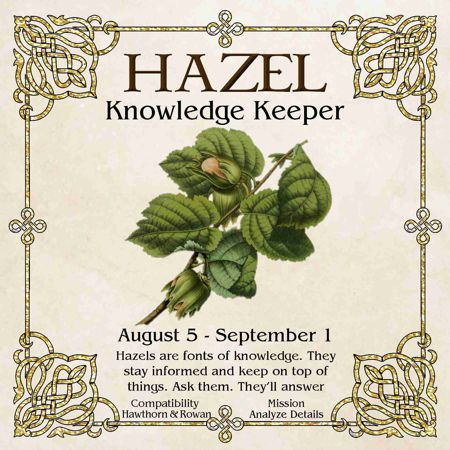 GrannyMooninVA's tweet photo. AUG. 5: Celtic Tree Month of Hazel begins.✨✨✨ https://t.co/KvxW3UbhXT