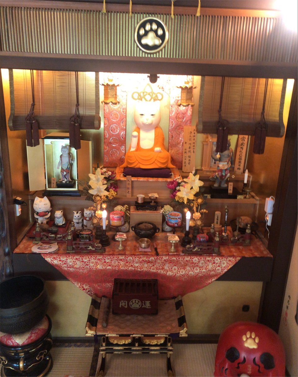 nanamon1224's tweet photo. 京都の「猫猫寺」
猫グッズもいっぱいで猫好きの聖地です🐈‍⬛ https://t.co/a8qKc8W2sC