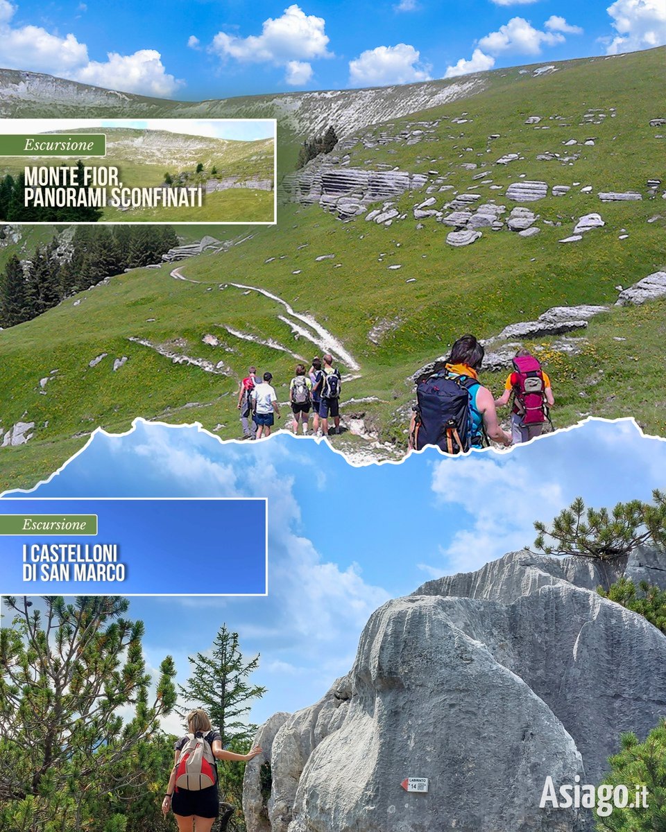 AsiagoIt's tweet photo. Amici, i #sentieri dell’Altopiano chiamano! 🍃🥾 Chi risponde? 😉🙋♂️
A metà agosto, con ASIAGO GUIDE, ci aspettano: Castelloni di San Marco, Cima XII, Monte Corno, Monte Fior e altri affascinanti angoli d'Altopiano! 😊
👉 https://t.co/jndcFFadun
#Asiagoit #trekking https://t.co/nAeox0TugZ