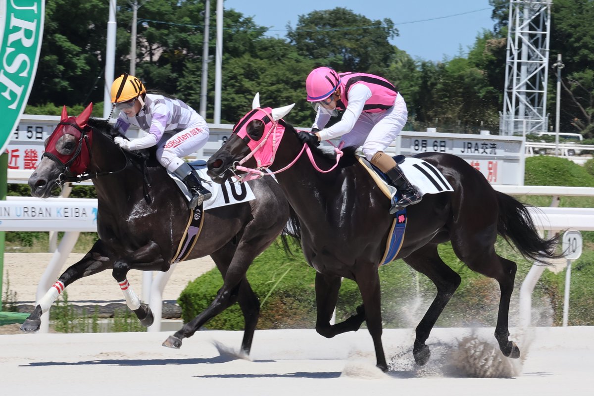 hochichihokeiba's tweet photo. 【阪神アーバン競馬】園田競馬

６Ｒは、ブルーブレイブ（飯田良弘厩舎）が、杉浦健太騎手を背に、ヤマトチャージとのマッチレースを制し、３連勝を飾りました

#ブルーブレイブ
#杉浦健太
#飯田良弘 https://t.co/VebxaK8ylf