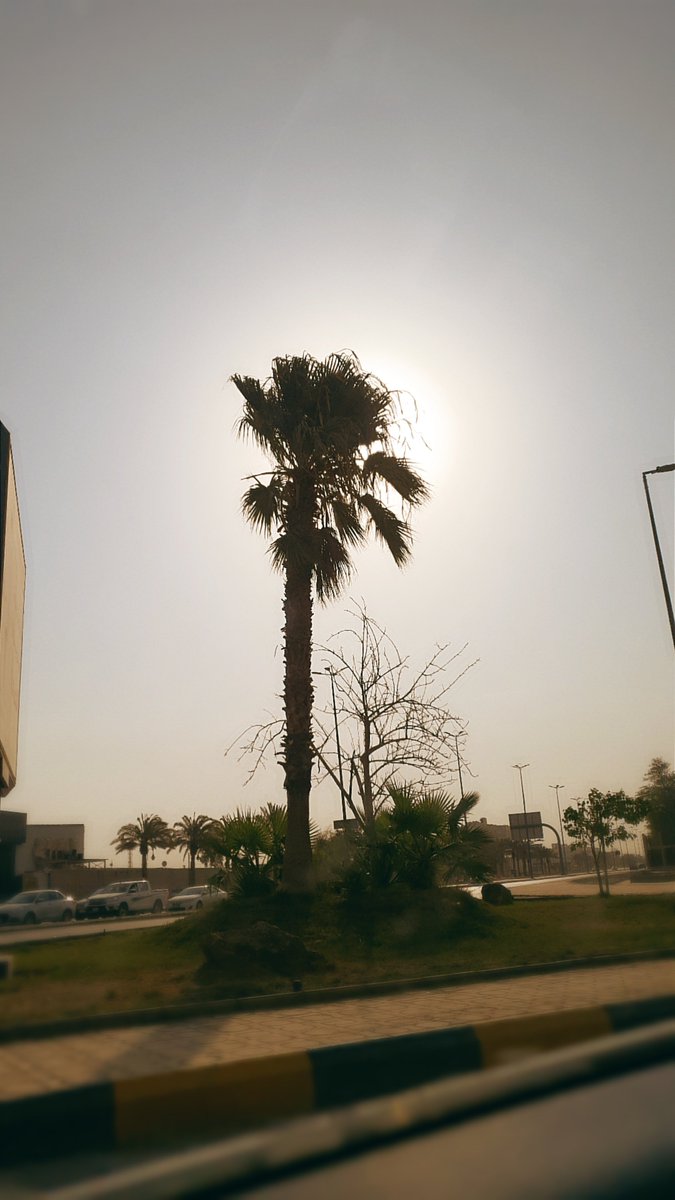 lD700M's tweet photo. صباح الخير🤍 https://t.co/BHgMNmCh3f