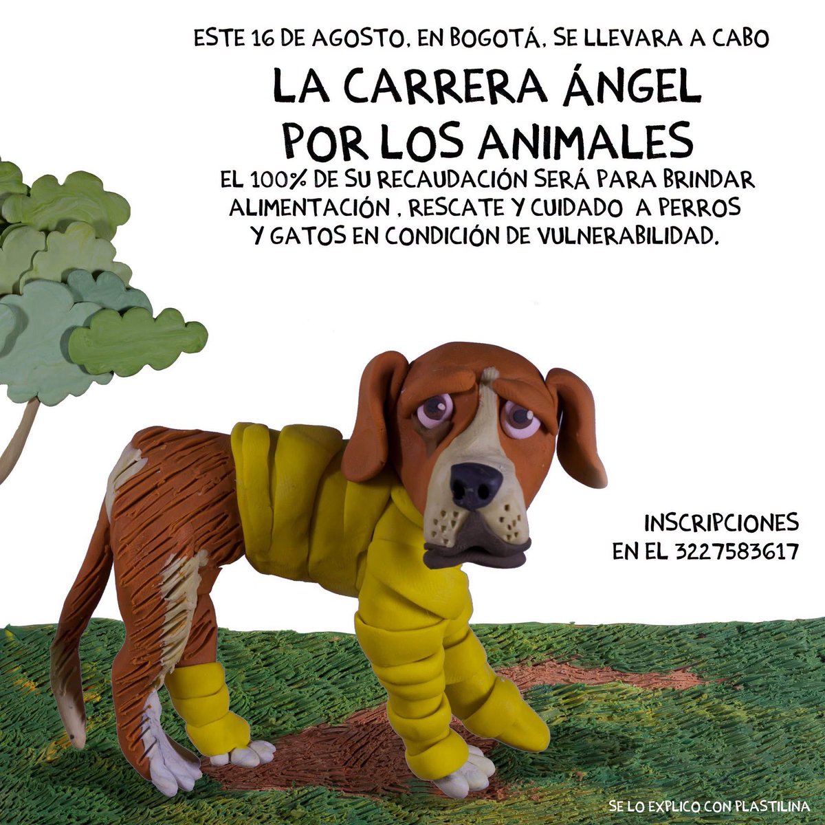 mapigaviria's tweet photo. @AsociacionMi No se la pueden perder! @DanielSamperO @darcyquinnr @andresguerraho @CarlosFGalan @Danielbricen @piedrahitangela @OrlandoBeltranQ https://t.co/UWoNihz5xa