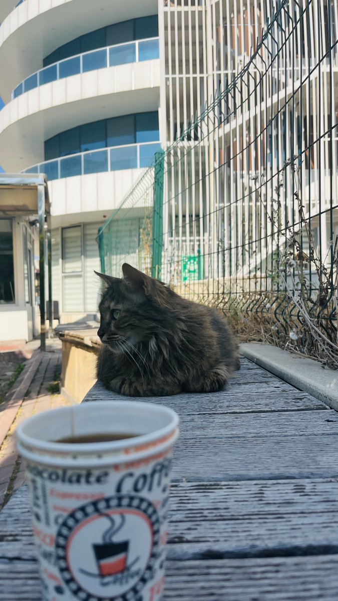10urATE's tweet photo. Günaydınnn https://t.co/yXdw3IIVWe