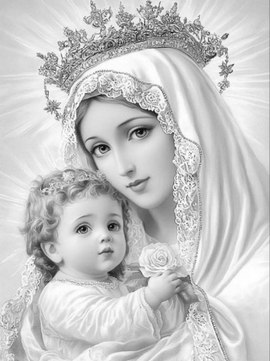 PirateMulwana's tweet photo. Hail Mary, Full of Grace, The Lord is with thee. Blessed art thou amongst all women, &amp; blessed is the fruit of thy womb, Jesus. Holy Mary, Mother of God, pray for us sinners now, and at the hour of our death. Amen.🙏🏾

Have a lovely day 😊 https://t.co/olOWUn1kGp