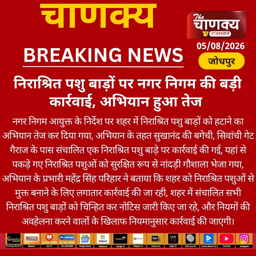 tv_chanaky5736's tweet photo. #Jodhpur निराश्रित पशु बाड़ों पर नगर निगम की बड़ी कार्रवाई, अभियान हुआ तेज
#NagarNigam #StrayAnimals #JodhpurNews #RajasthanNews #BreakingNews https://t.co/ZNc4idFGz6