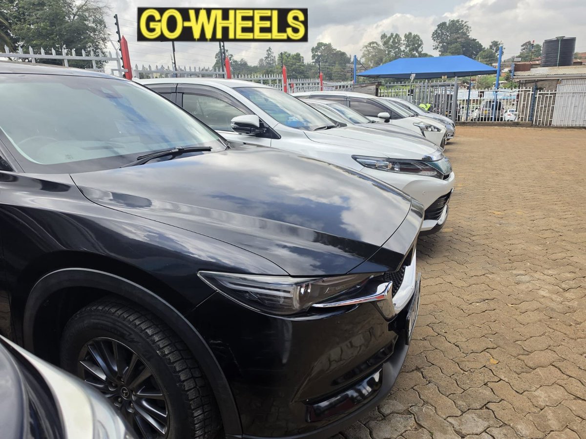 chris29ke's tweet photo. Good morning! 

Need a reliable car for business, travel or a weekend getaway? GO-WHEELS Car Hire has you covered with clean, comfortable and affordable vehicles.

📍 Kiambu Road
📞 Call/WhatsApp: 0723 630 231 | 0793 373 705

GO-WHEELS Car Hire – Your Mobility Partner. https://t.co/86BdgMpPVw