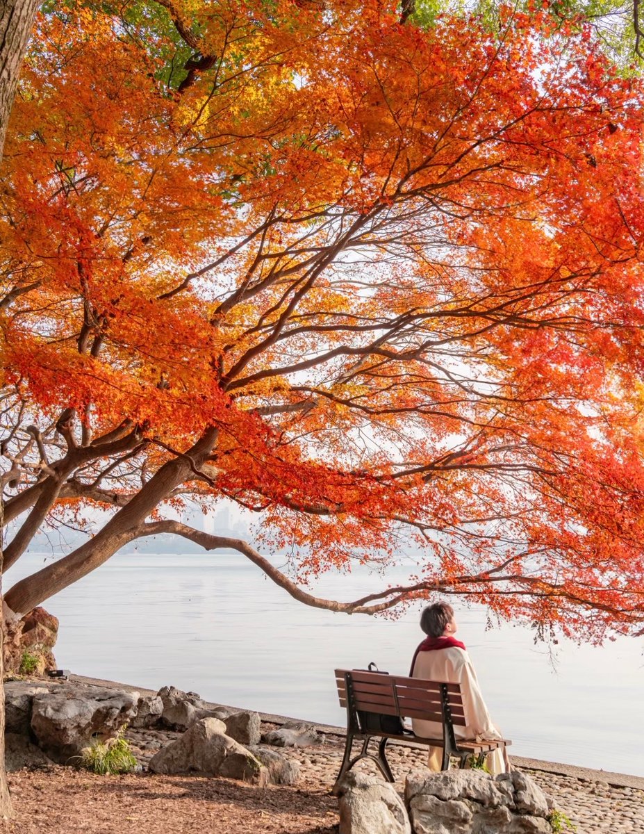 IsraelMalvaez's tweet photo. It’s a crisp autumn morning—pumpkin spice lattes, red leaves, and that perfect cozy chill. https://t.co/d53OF3FjFO