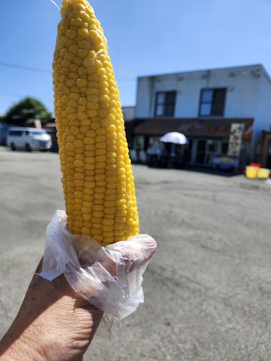 Hanayukiii's tweet photo. 北海道に来てます💨

今回のお目当てはとうもろこし🌽

いつもは留寿都で買うんやけど今日は洞爺湖町のお店でゆできび🌽買ってきた😁

めっちゃ甘くて何本でも食べられるわー😆

#樋口物流サービス
#M姐さんが行く https://t.co/OE9KsmuX6Q