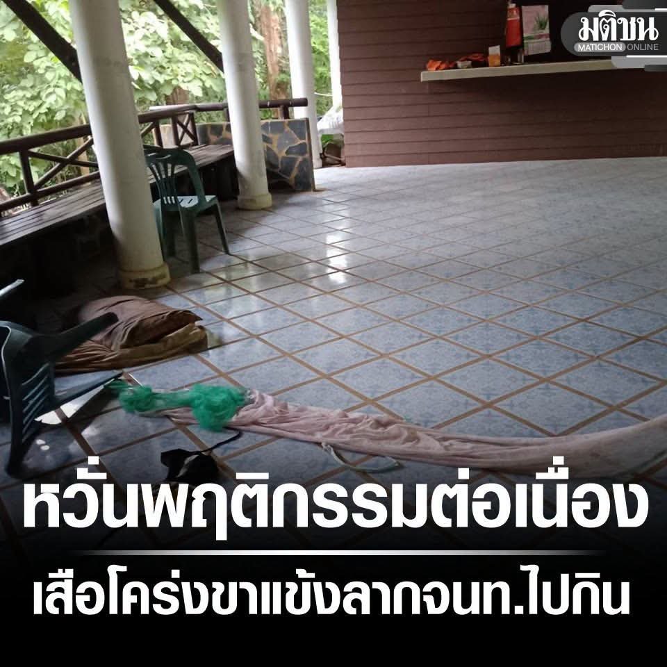 zsar14940693's tweet photo. เสือโคร่งกินคน? 😰😱
จนท.กรมอุทยาน ถูกพบเป็นศพในป่า มีรอยเท้าคล้ายเสือโคร่งใกล้ๆศพ 
จนท. แจ้งว่า จะไปตามเพื่อนไปร่วมกิจกรรมที่ได้รับมอบหมายมา พอไปถึง พบว่า เปลนอนที่บ้านพักฉีกขาด มีเศษหนังศรีษะที่พื้น มีรอยลากไป จึงแจ้งหน่วยช่วยกันตามรอยจนไปพบศพ https://t.co/NIM0BU8Khq