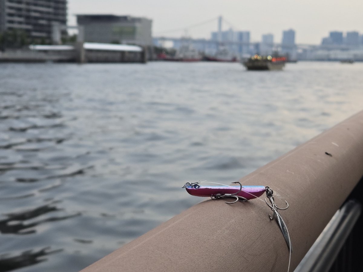 Jurassic_Monkey's tweet photo. Still fishing. But with the closure of part of my fishing spot, I've been exploring other spots as well. Still love my spot when it comes to productivity, but trying out new places is fun as well https://t.co/uDMBOl1j5U