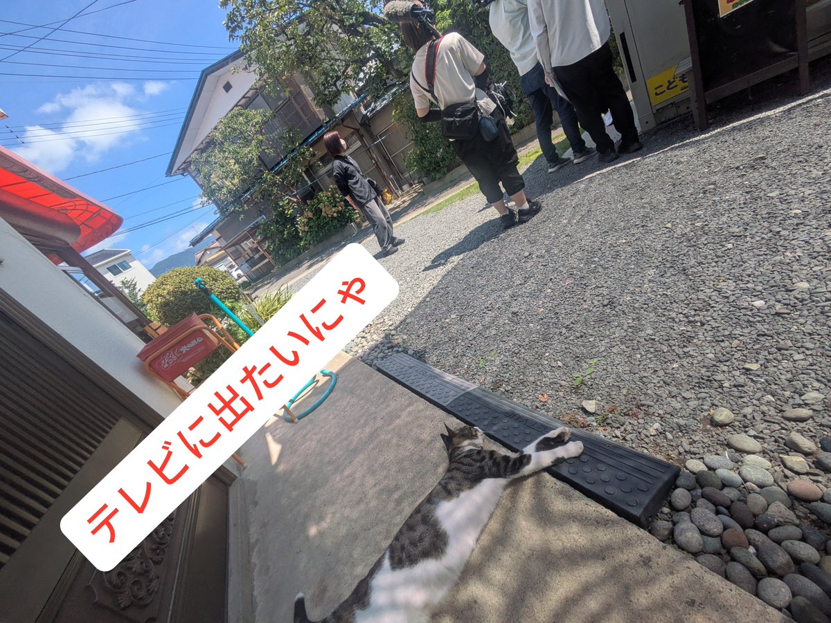 abundjp's tweet photo. 福島テレビさんの取材。
めちゃくちゃ、いい天気で撮影日和！
テレビに出たいと��ちゃん乱入（笑）
誘導しつつ、取材は続く（笑）
#国見 #福島 #クレープ #テレビに出たい猫 #温泉シャーク https://t.co/qGQX9igbWn