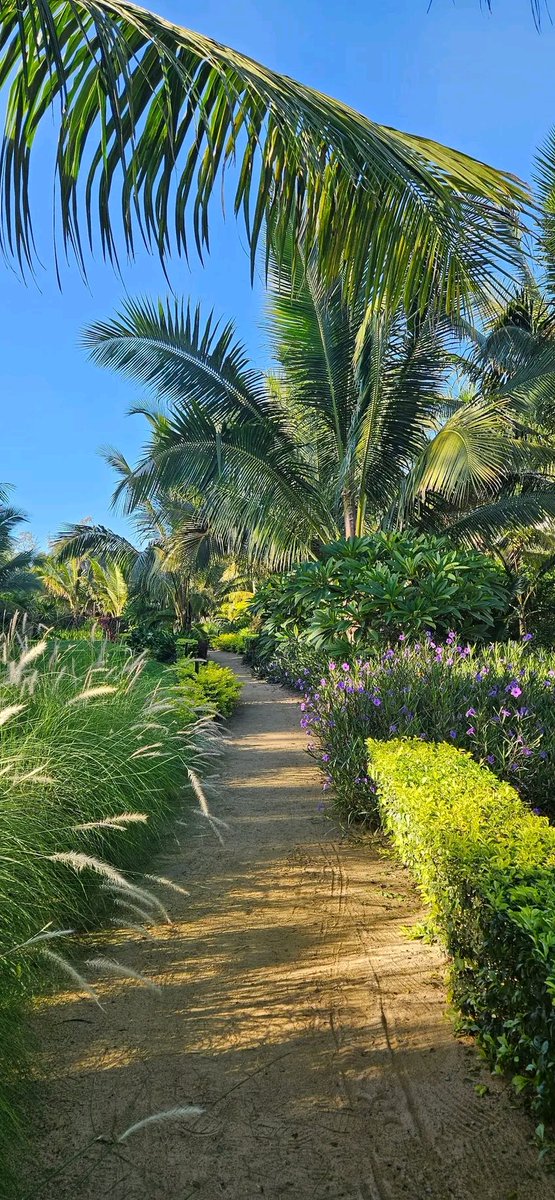 RavenCL2002's tweet photo. C'est une nouvelle journée au paradis. https://t.co/fqmjF3BcZx