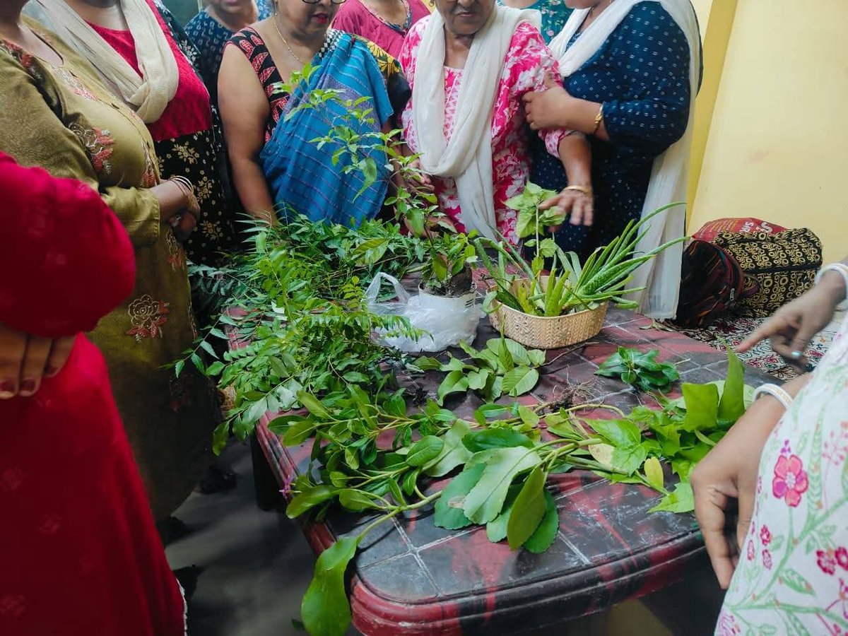 RanjitaSsha's tweet photo. महिला पतंजलि कोलकाता राज्य सोशल मीडिया की ओर से आयुर्वेद शिरोमणि परम श्रद्धेय आचार्य जी महाराज के जन्मदिवस जड़ीबूटी दिवस के उपलक्ष्य पर पौधारोपण/वितरण।🌱🌱🌱🌱🌱🌱
#ACHARYABALKRISHNA #जड़ीबूटीदिवस #जढ़ीवूटिदिवससोशलमीडिया #SWAMIRAMDEV #sadhvidevpriya https://t.co/HBkLWXiWsJ