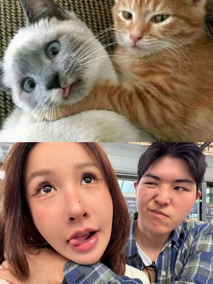 itfeelstory's tweet photo. ชอบความแตกต่างแต่ลงตัวของชีบริ้งกับพี่นันมาก มันแบบคนนึงดื้อๆ ซนๆ อีกคนนิ่งๆ พูดน้อยแต่ตามใจตลอดอะ เป็นคู่ที่โคตรน่าอิจฉาเลย https://t.co/9Bvk5dsOLs