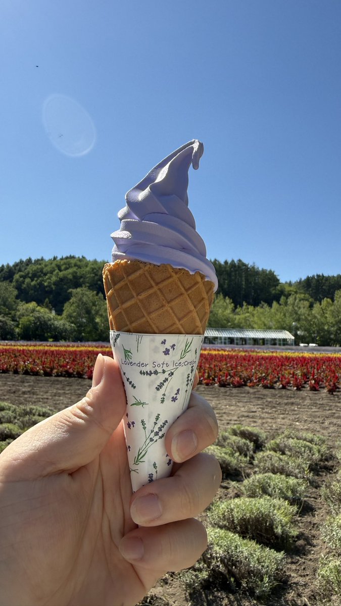 yuta_pad's tweet photo. 🪻2本目🍦 https://t.co/CBcecfh7xt