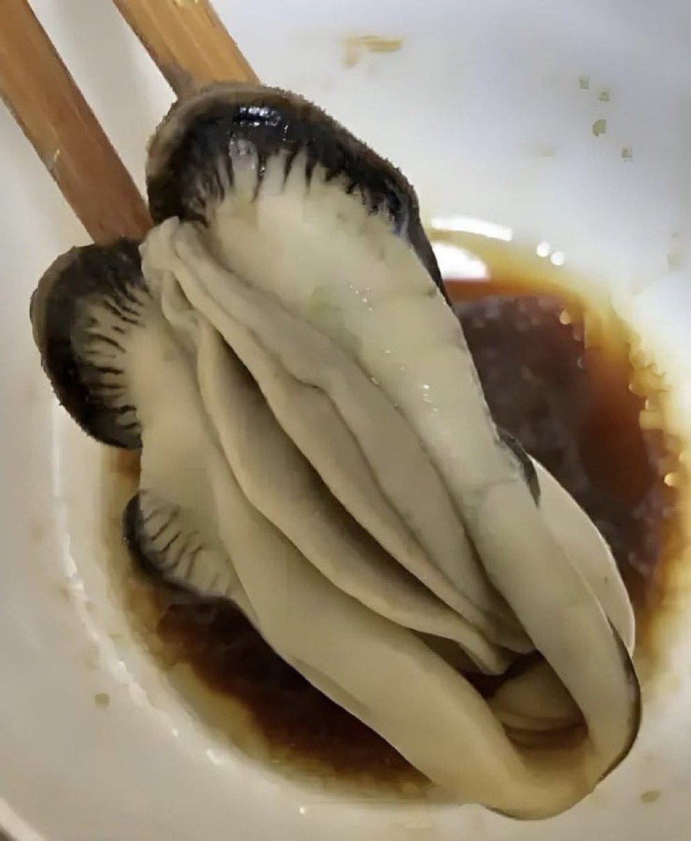 kaogo55's tweet photo. 牡蠣は美味しいなぁ😋 https://t.co/svTUF5jewK