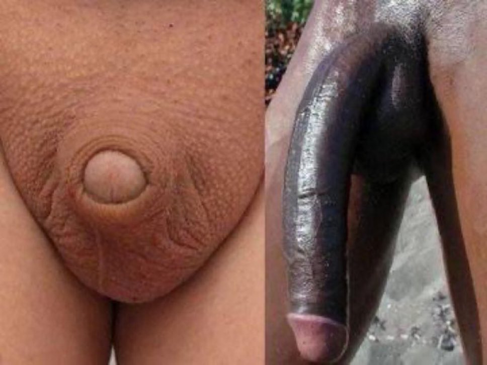 stimcuck's tweet photo. lol. lmao even #nsfwtwtًً https://t.co/nURu6O38Ho