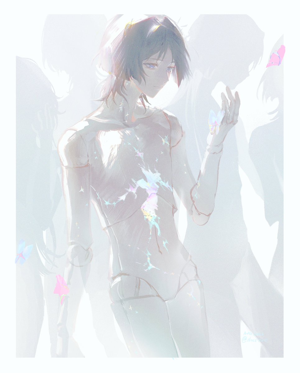 nocetus's tweet photo. papillon 
#wanderer https://t.co/EyXs87L27q