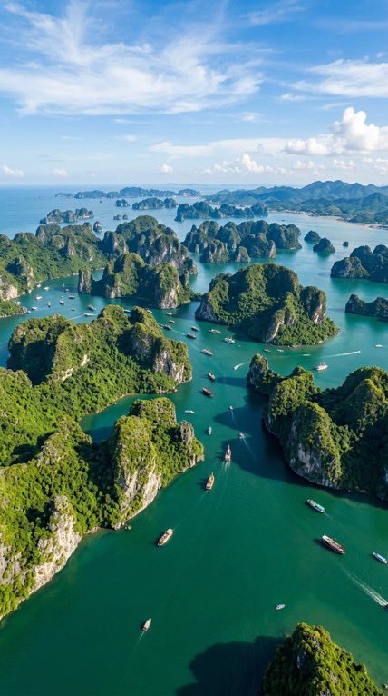 _Naturaee's tweet photo. Vietnam https://t.co/BswzTFPvBt