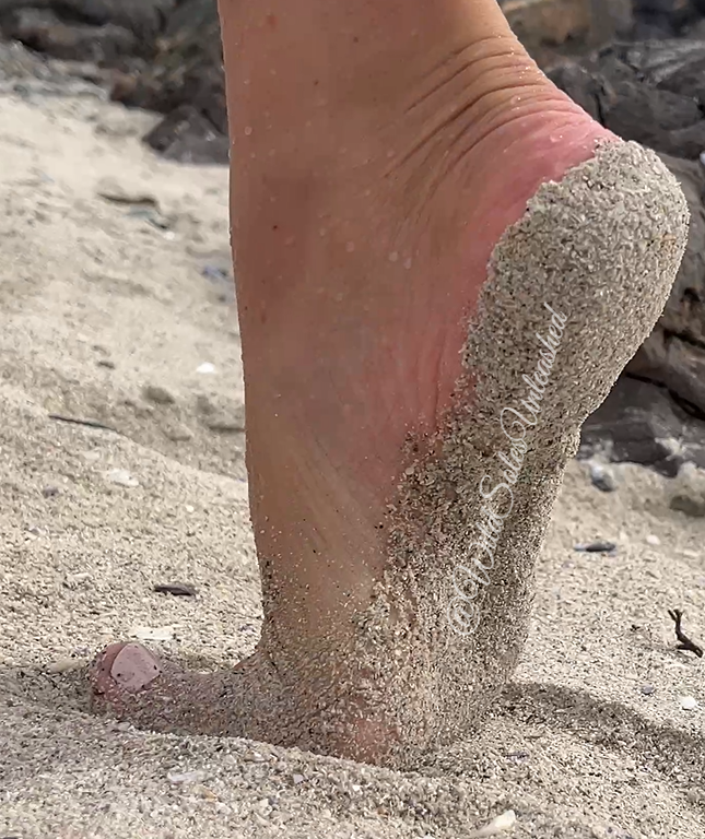 SoleUnleashed's tweet photo. Do you like the feeling of sand on your feet? Or washed clean in ocean water?
Custom versions waiting for you: https://t.co/TMhKbXywol #FeetFinder #FeetGoddess #SockLovers #FeetPics #FeetLovers https://t.co/azUKI5MzxZ