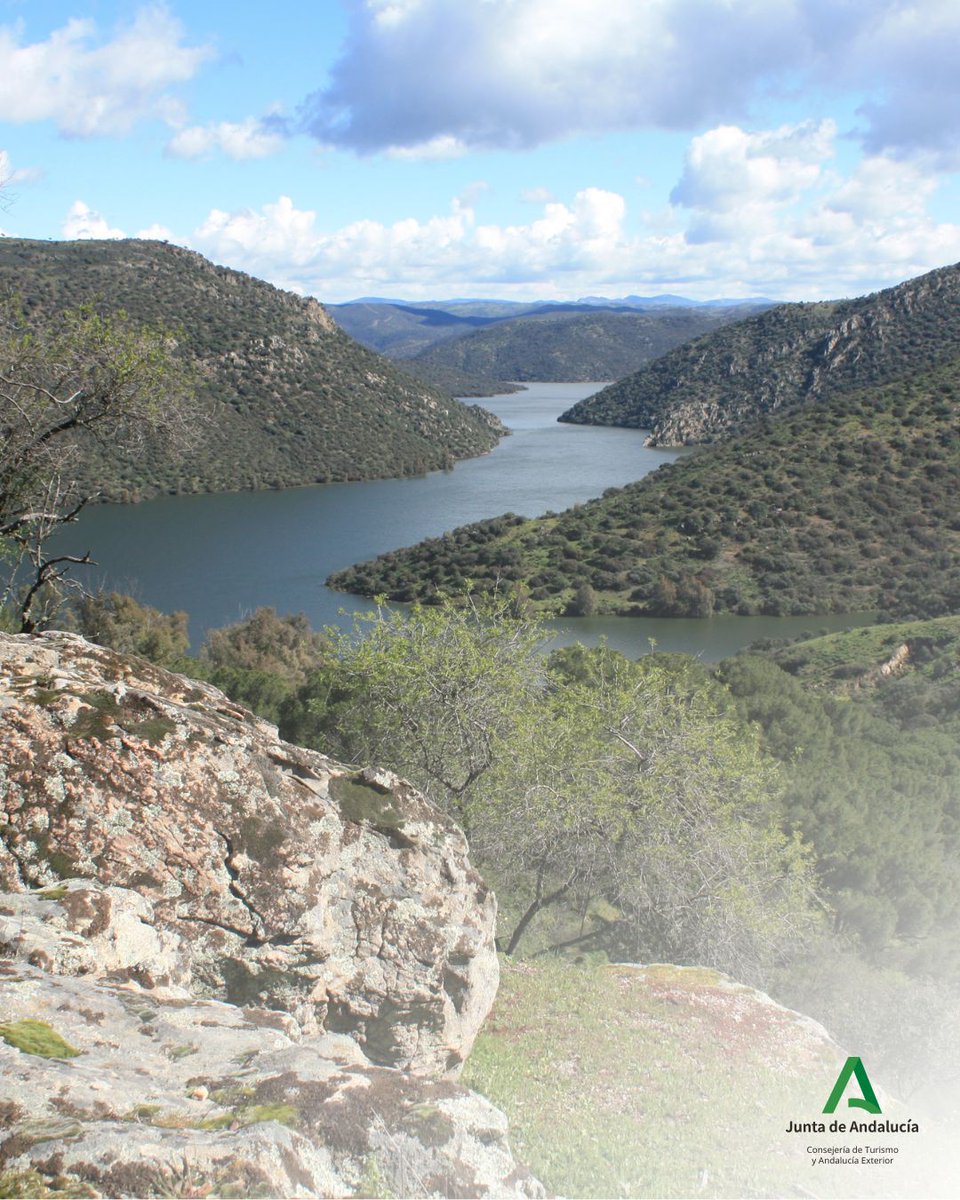 TurJaenAsoc's tweet photo. Cuando el calor llega a la provincia de Jaén, la naturaleza sigue su propio ritmo. Y en en el Parque Natural Sierra de Andújar siempre hay vida esperando ser descubierta. 💚

Ciervos, aves en vuelo y, con algo de suerte y silencio, la presencia más emblemática: el lince ibérico. https://t.co/JTuocwbxKm