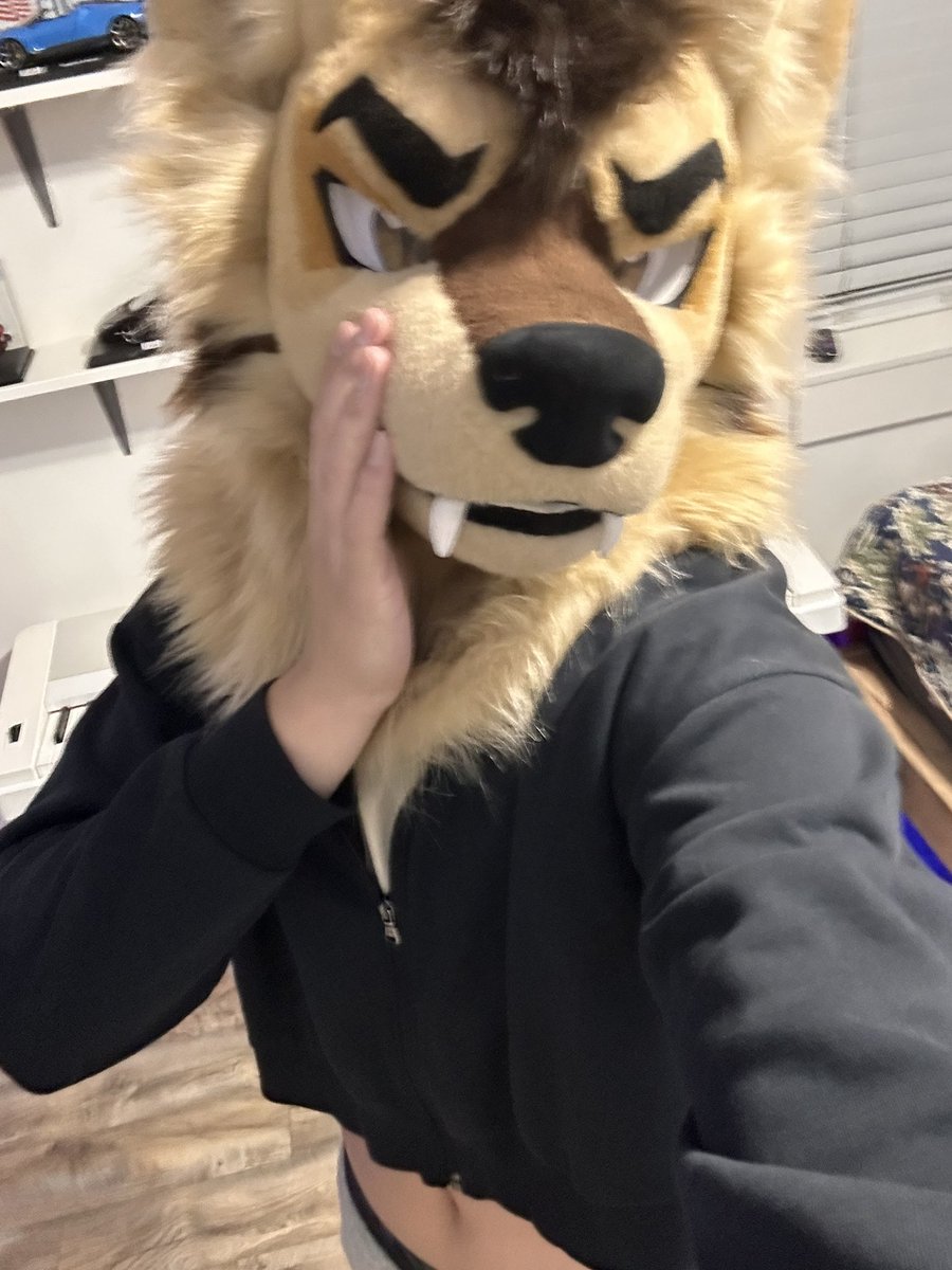 Sparky_Floof's tweet photo. I don’t look gay in this right? https://t.co/dBiBqDjVlO