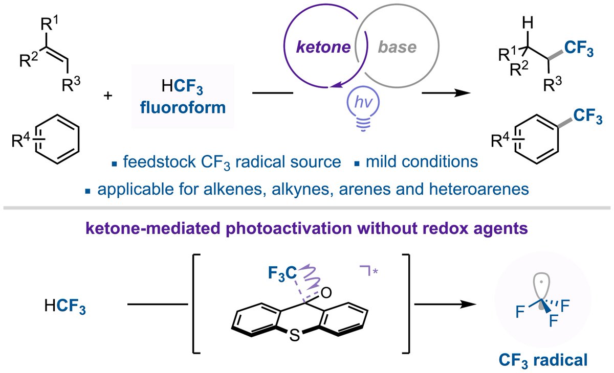 HHayashi1111's tweet photo. Since we started the project on ketone-mediated photoactivation of fluoroform @HokkaidoUni, it has now been published @J_A_C_S! Wonderful to see it come to fruition following my move to @NagoyaUniv. Huge congrats to Shun, Yan, and the team @ICReDDconnect!
https://t.co/CJZ39eIdoQ https://t.co/yVThY3K9Ge