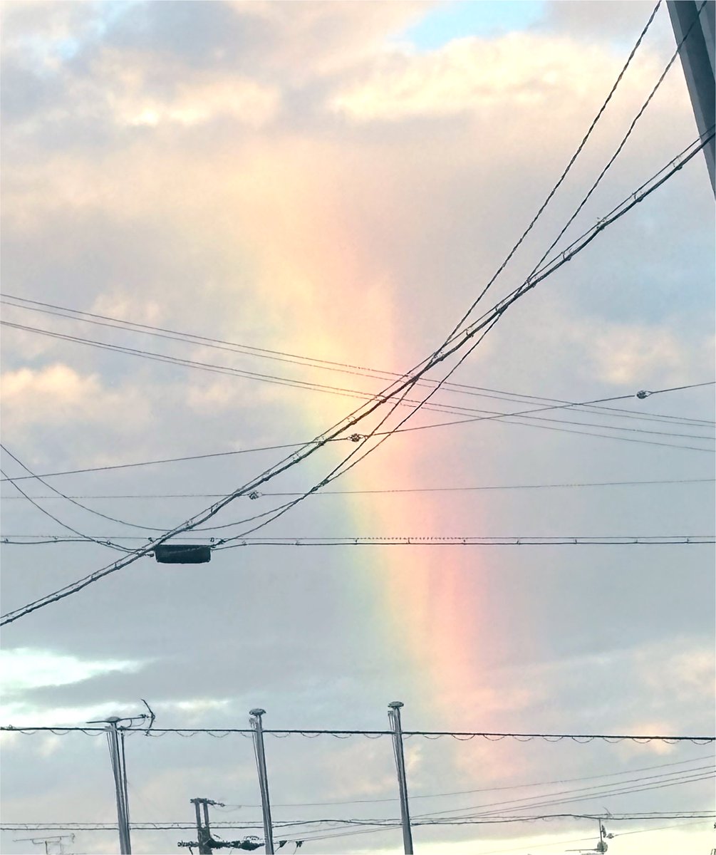 nao40489136's tweet photo. 帰宅途中で、🌈 https://t.co/nQlqnXNSYz