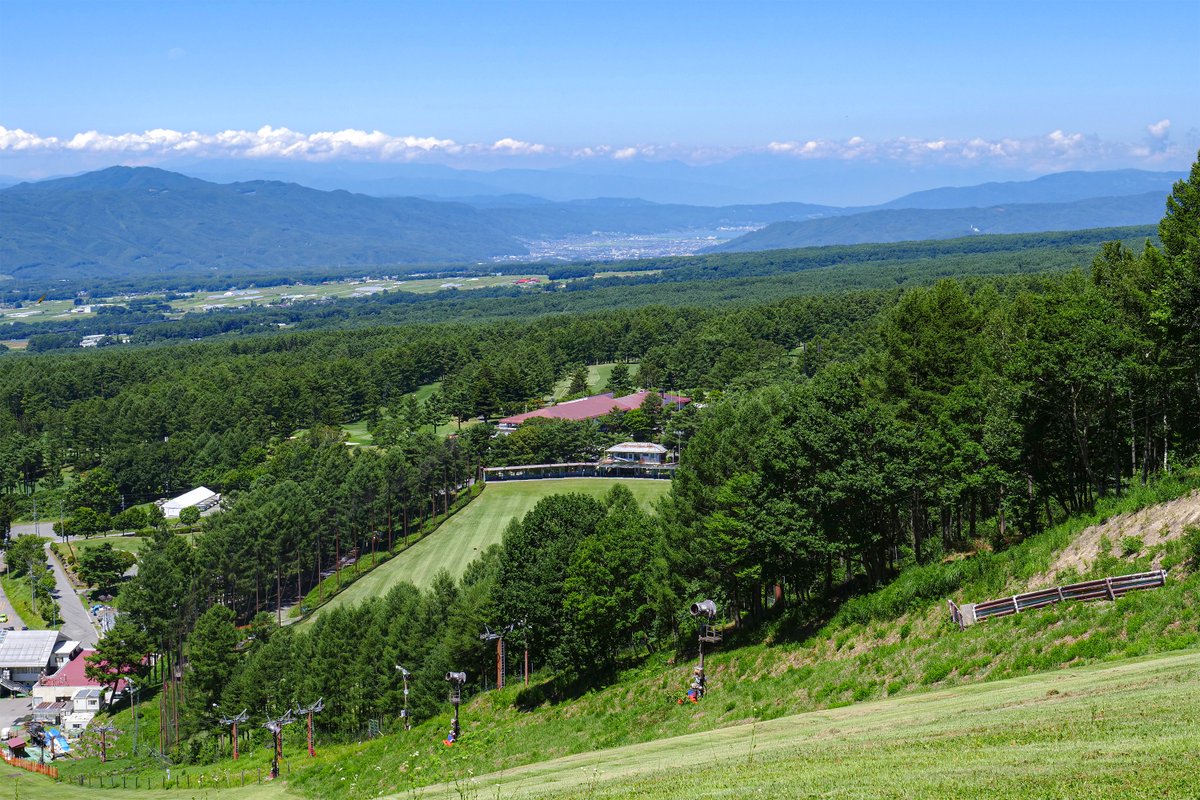 fkresort's tweet photo. 8月に入り運行開始となった展望リフトは8/17まで毎日運行しており、木陰を好んで咲く自生の山野草を眺めながら山頂の創造の森に行くことができます。

展望リフトを降りるとスキー場のセンターゲレンデが見え、そこからは諏訪湖や北アルプスを一望します。 https://t.co/jQ6sZ0WXFB
