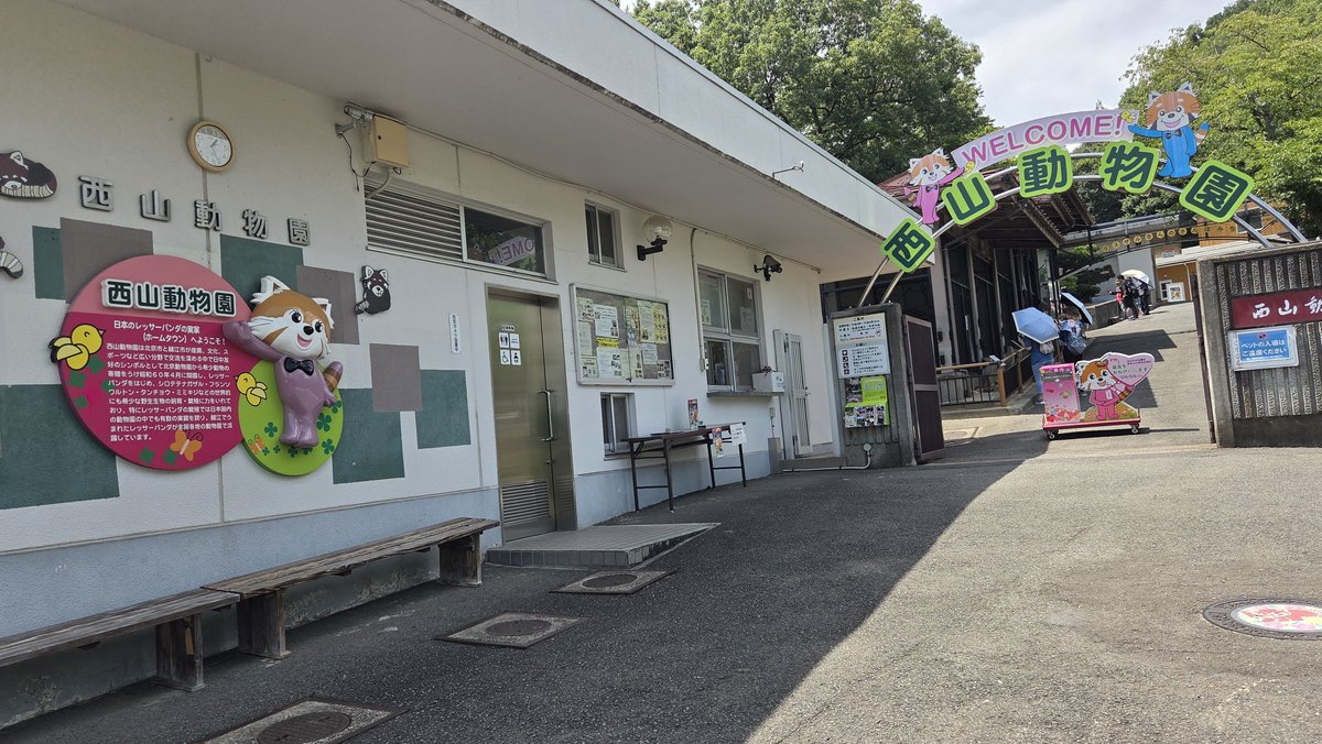 ZENEX_TorTra's tweet photo. 盛夏の北陸・木曽路旅より。

西鯖江駅から登って訪れた西山動物園。

無料の動物公園ですが、ここは全国のレッサーパンダの原点の場所。

園内を元気に活動する彼ら、日本の動物園にはここから広がっているんだとか。

少し上には展望台も。
晴れた夏空には鯖江の町並みがくっきりと映りました。 https://t.co/xMcM3NxUjw