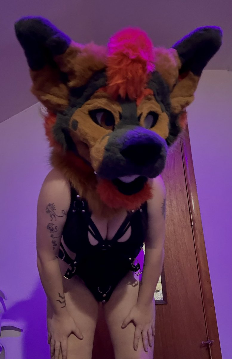 ScudpupAD's tweet photo. Hi puppies

-
 #murrsuit #furry #tboy #fursuit https://t.co/Rd83iB4dMF