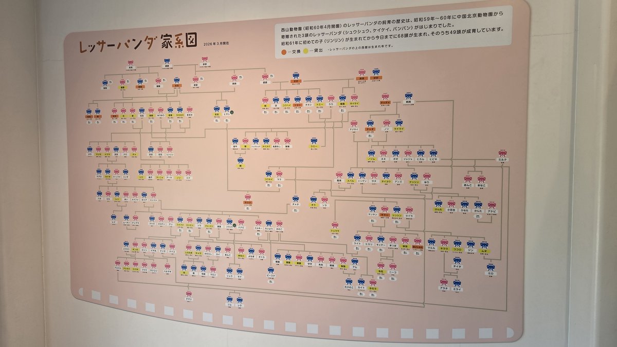ZENEX_TorTra's tweet photo. 盛夏の北陸・木曽路旅より。

西鯖江駅から登って訪れた西山動物園。

無料の動物公園ですが、ここは全国のレッサーパンダの原点の場所。

園内を元気に活動する彼ら、日本の動物園にはここから広がっているんだとか。

少し上には展望台も。
晴れた夏空には鯖江の町並みがくっきりと映りました。 https://t.co/xMcM3NxUjw