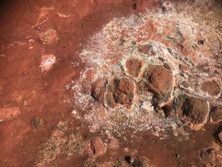 IACT_CSIC's tweet photo. 🌋 Continuamos con la campaña #MARSGH | Islandia 2026 🇮🇸
Seguimos estudiando las características mineralógicas y bioquímicas de entornos geotermales análogos a Marte.
@IACT_CSIC @Haskolinn_Ak @isor_iceland https://t.co/fZUCRxjV7e