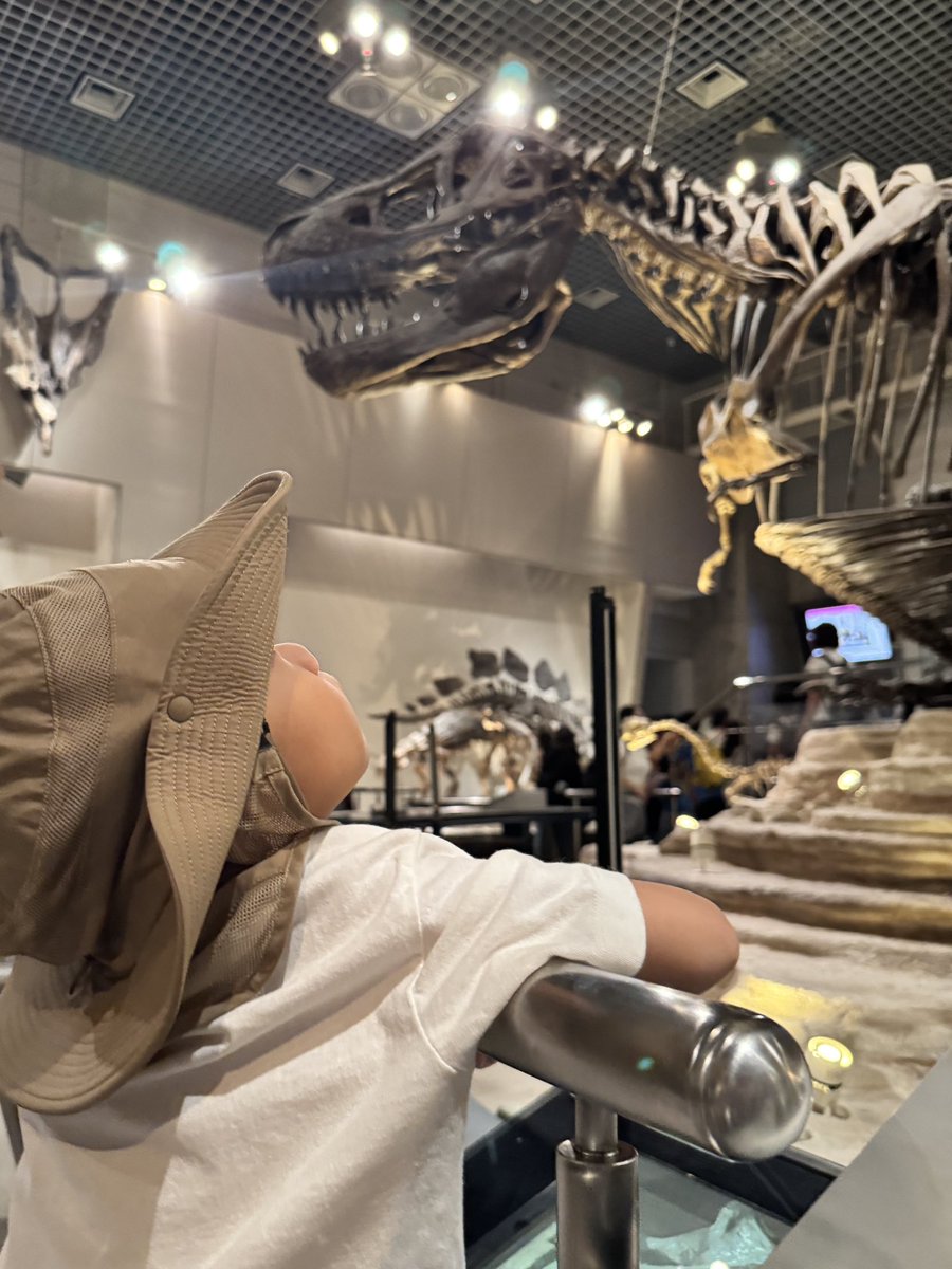 Mahiro_co's tweet photo. THE 夏休み🦕🦖 https://t.co/5N1VNPMgmZ