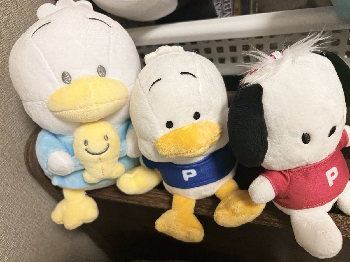 psyren116's tweet photo. サンキューマートのペックルグッズ届いた！

嫁と二人でどハマり😂
しまむらコラボ、一番くじのも確保できたし、めっちゃ増えてきたなあ。 https://t.co/OQ5kmJGMEM