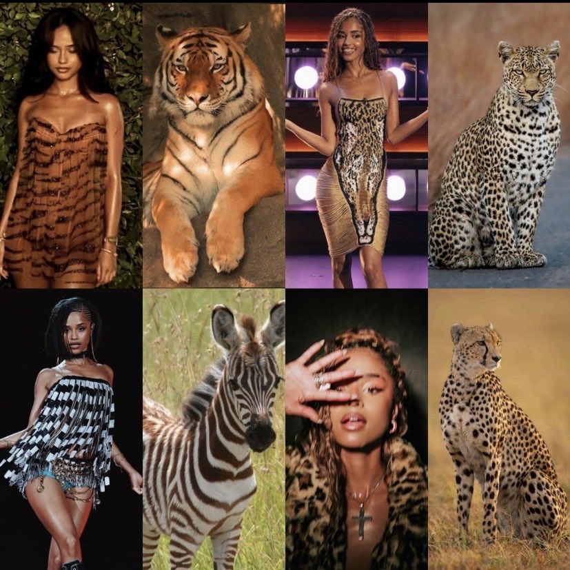 dorishaaa's tweet photo. I’m a tiger but I like all kinds of prints https://t.co/qIjgdrvApQ