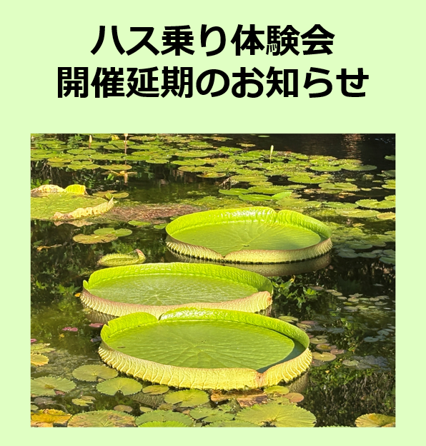 kaiyohakukoen's tweet photo. 【パラグアイオニバス ハス乗り体験会 延期のお知らせ】
台風の影響により、8月8日～11日に予定していたハス乗り体験会を延期します。
■開催日：8月15日・16日
■時間：13:30～16:00

#熱帯ドリームセンター https://t.co/K0OkKJNWQ4