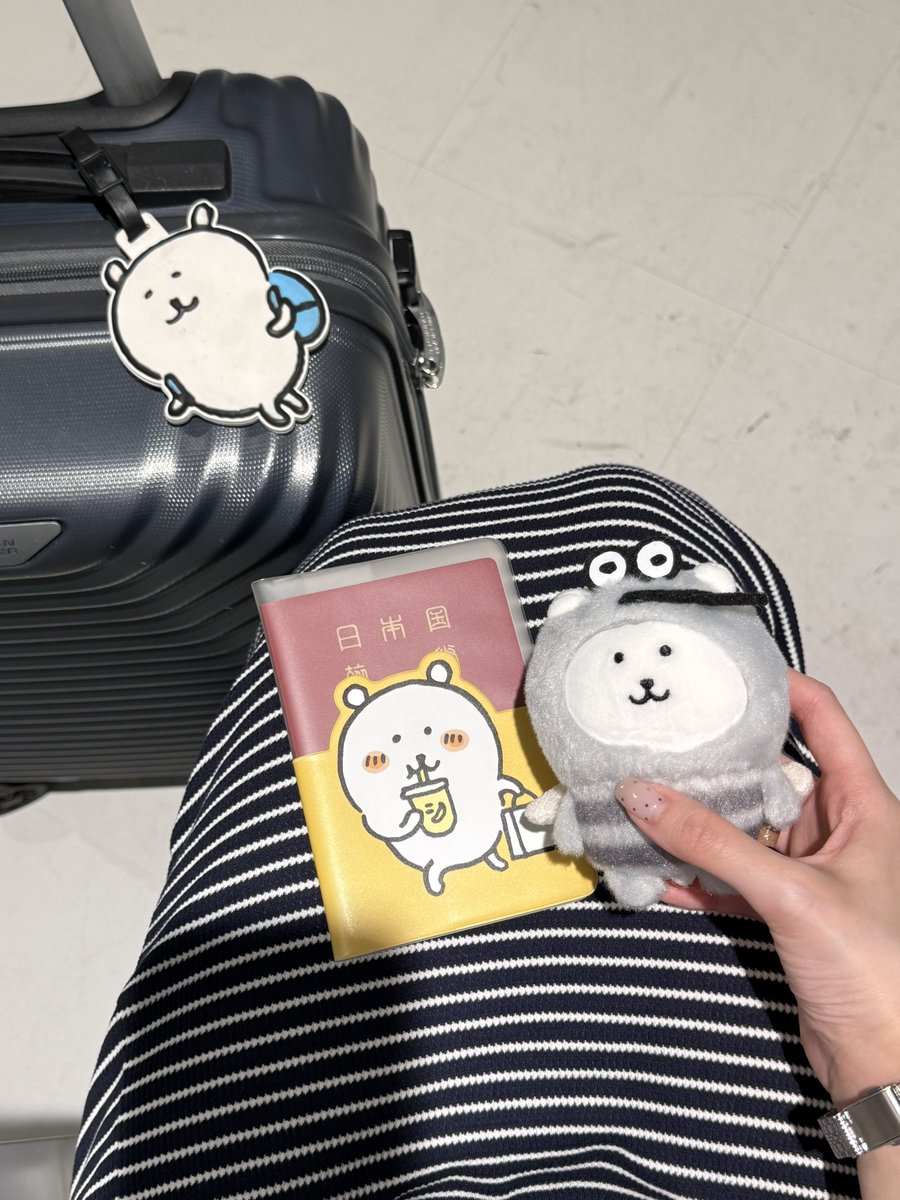 mm_20_aa's tweet photo. 농담곰이랑 같이 한국으로 출발✈️ https://t.co/ToAYCytyZY