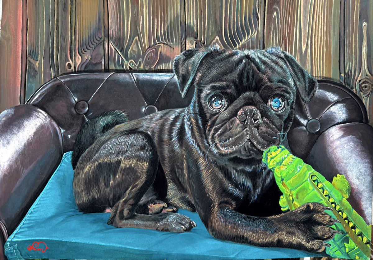 FernandaAmitla's tweet photo. I finish the paint of my son Quepachó (Whahappen). Aka: Pedaciño de Melda (Tiny Bundle of Shitty), Maldito Psicópata (Damn Psycho), Negro Como la Noche (Black as the Night), Quepachiaaah (Whahappaaah), Pachito (Little step) #gouache #pug #パグ #mopsi https://t.co/oOrG3yd2a4