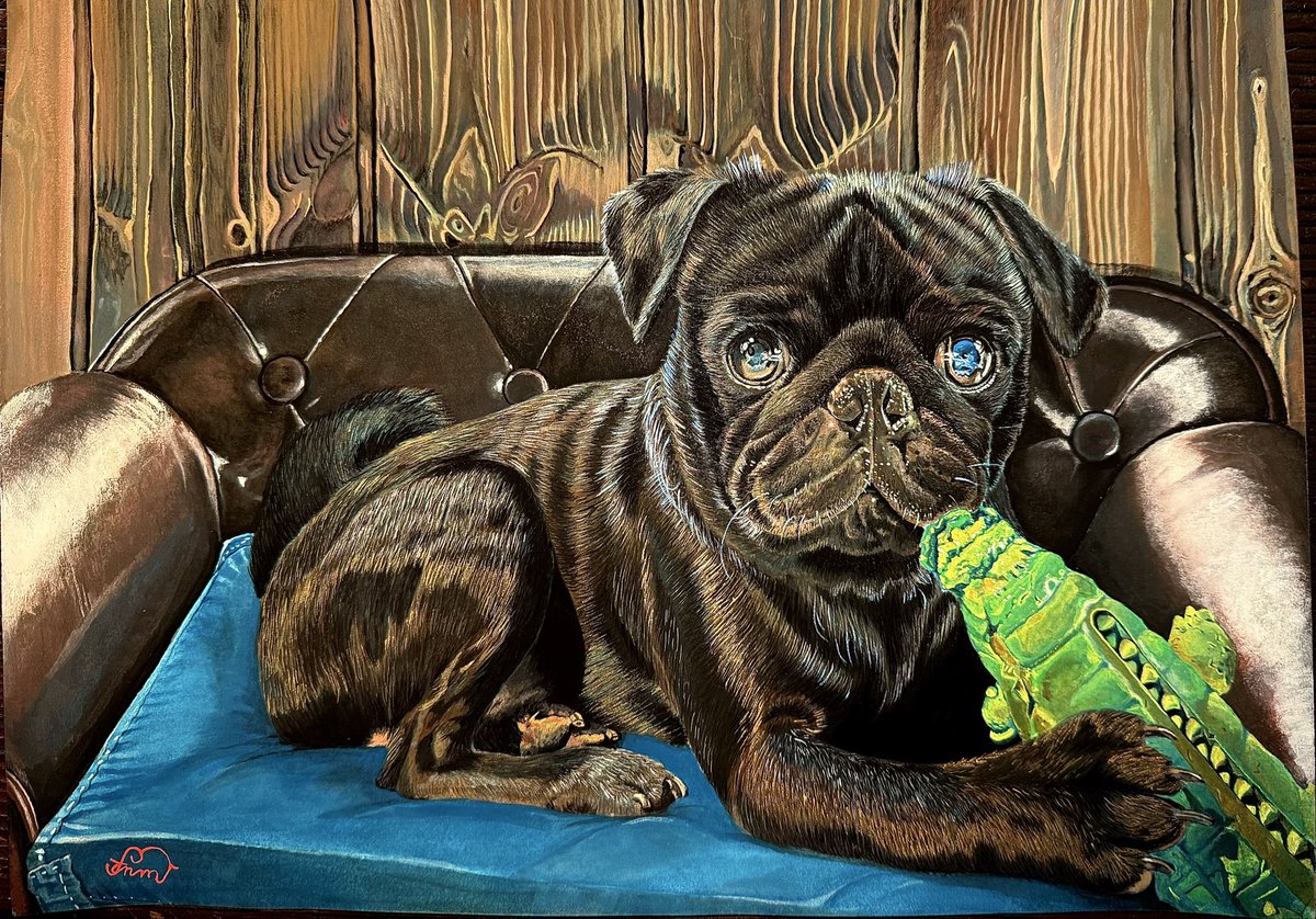 FernandaAmitla's tweet photo. I finish the paint of my son Quepachó (Whahappen). Aka: Pedaciño de Melda (Tiny Bundle of Shitty), Maldito Psicópata (Damn Psycho), Negro Como la Noche (Black as the Night), Quepachiaaah (Whahappaaah), Pachito (Little step) #gouache #pug #パグ #mopsi https://t.co/oOrG3yd2a4