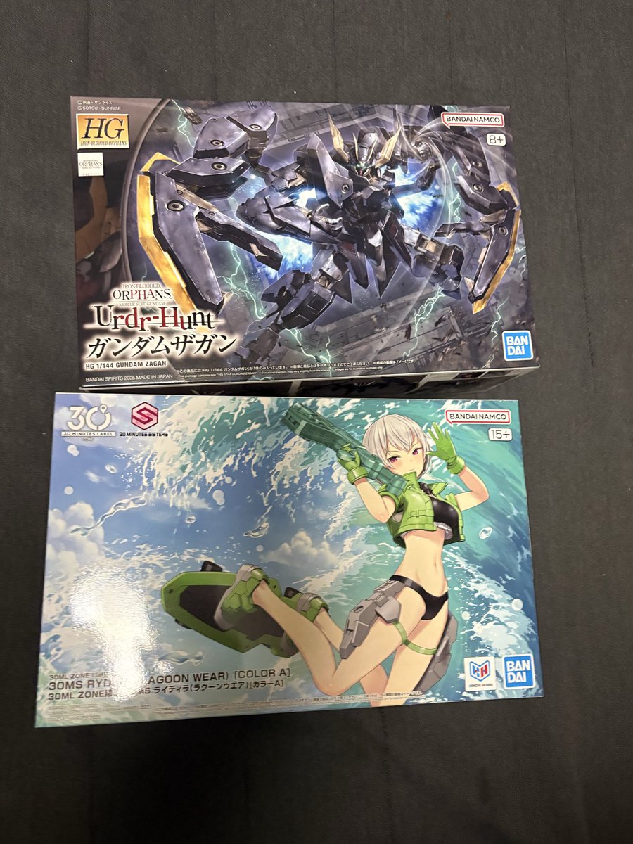 Tumdone's tweet photo. 抽選販売当たってライディラ買えたのと弟から誕生日でザガンを貰った
ウンコスルデイズは丁重にお断りした https://t.co/FUct5J2Llp